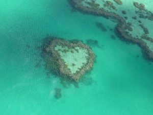 heart reef