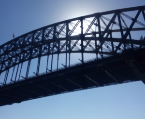 jetboat harbour bridge