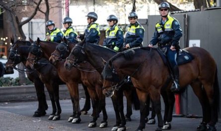 mounted unit nsw police force